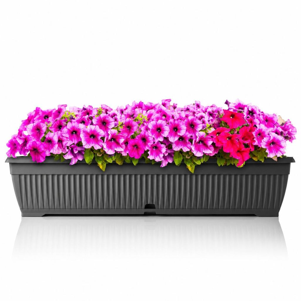 BigDean Blumenkasten 80cm mit abnehmbarem Untersetzer - aus Produktbild  KI-generiertes Bild