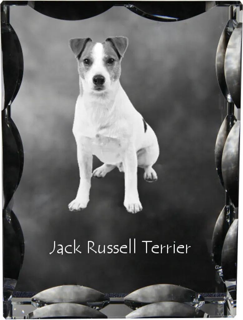 Cristallo Ottico Jack Russell Art-Dog - Cornice con Foto Laser 3D