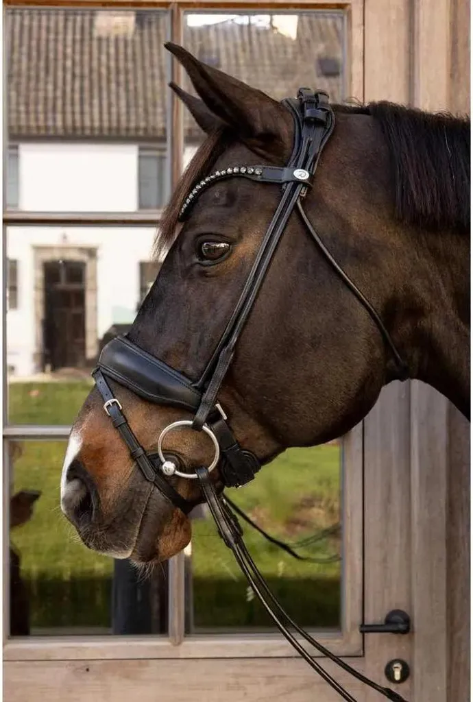 Bridon ComfoHead Dy'on combiné anglais noir complet cuir de buffle