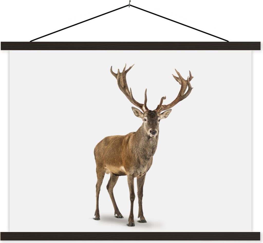 MuchoWow Textilposter Hirsche - Tiere - Weiß - Junge - Mädchen - Kinder 150x113 cm mit schwarzem Rahmen - Wohnzimmer