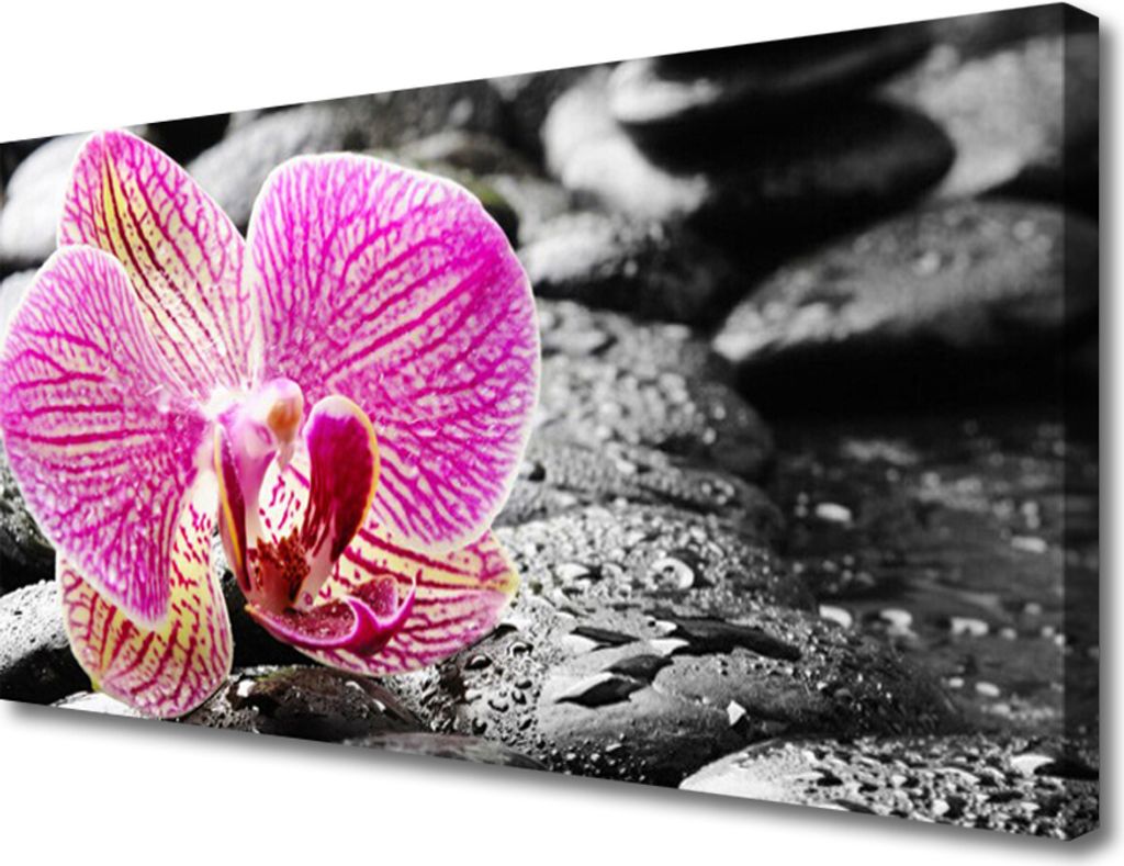 Tulup Leinwand-Bilder 100x50 Wandbild Canvas Kunstdruck Blumen Steine Pflanzen