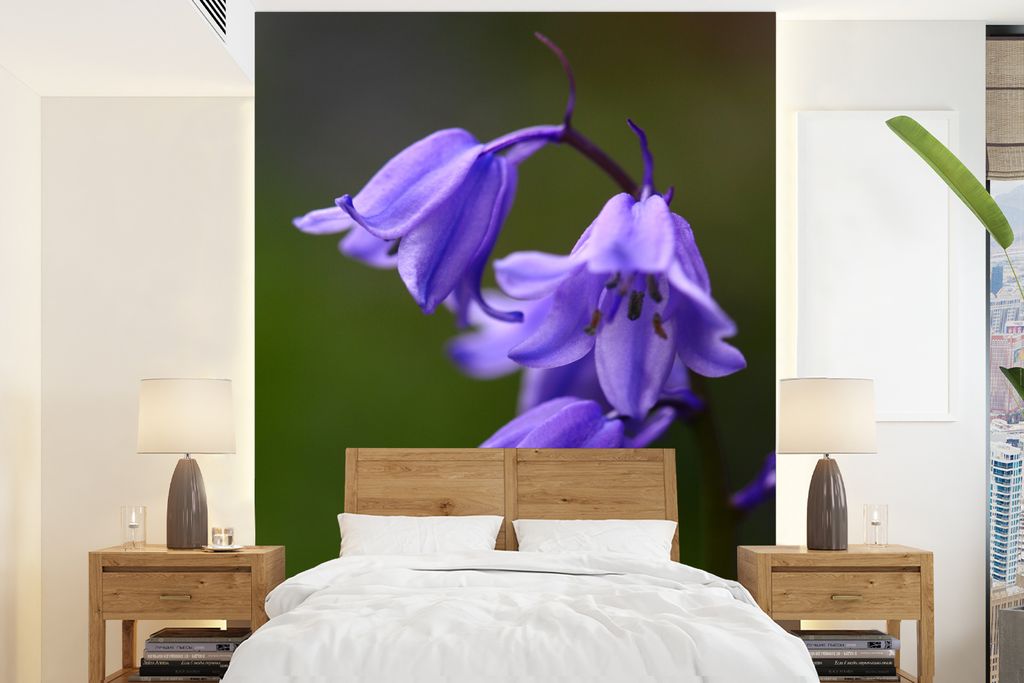 MuchoWow Fototapete für Wohnzimmer oder Schlafzimmer Wandtapete Vinyl Motivtapete Lila Sternhyazinthen vor dunkelgrünem Hintergrund - 165x220 c...