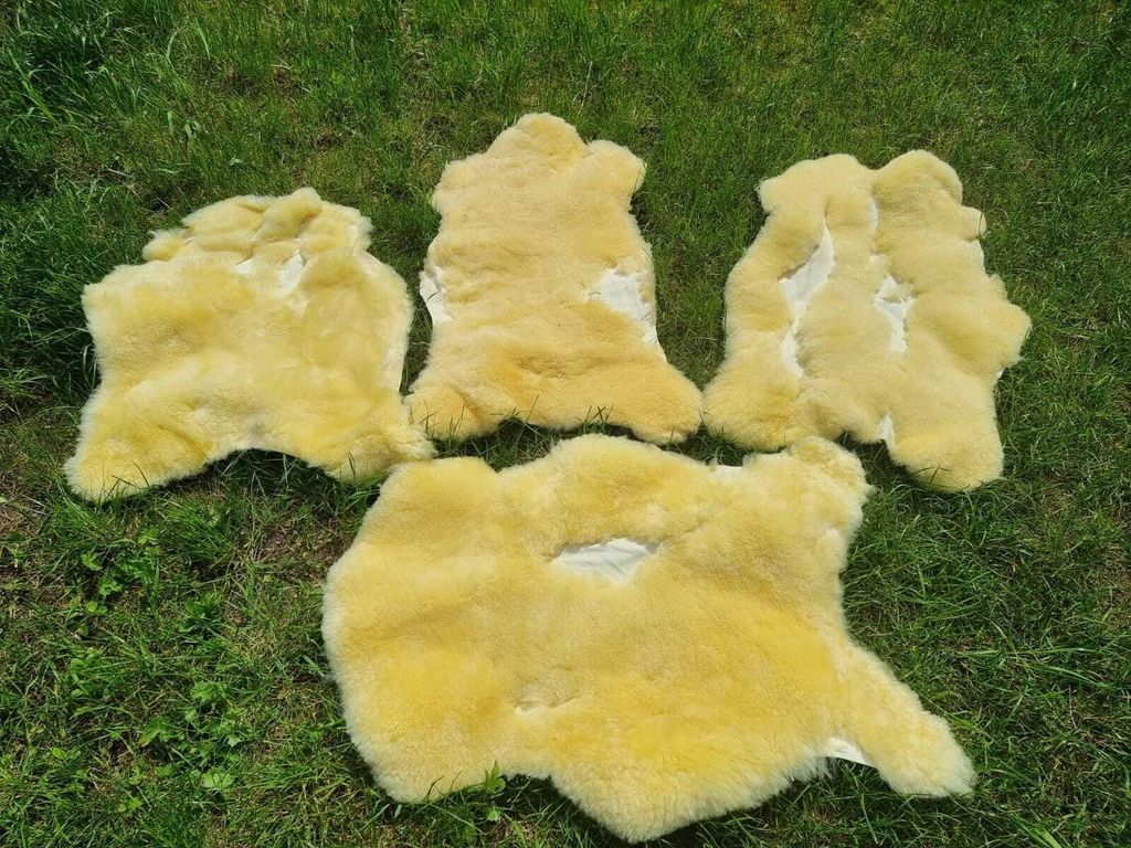 Öko Schaffell Relugan – Medizinisch gegerbt, beschädigt, 2. Wahl, geschoren (3-3,5cm) 140-150cm