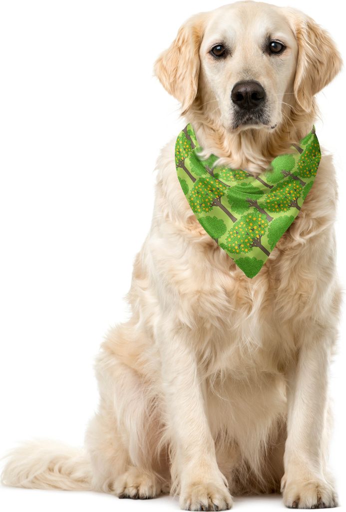 ABAKUHAUS Bäume Haustier Bandana, Orangenbäume Zitrusblüten, 55x55 cm, Lime Green Umber