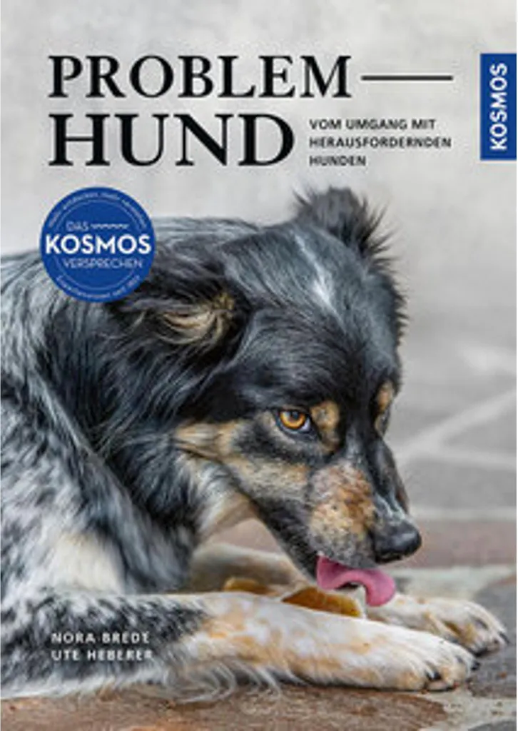 Problem Hund : Solution anti-aboiement et obéissance canine douce