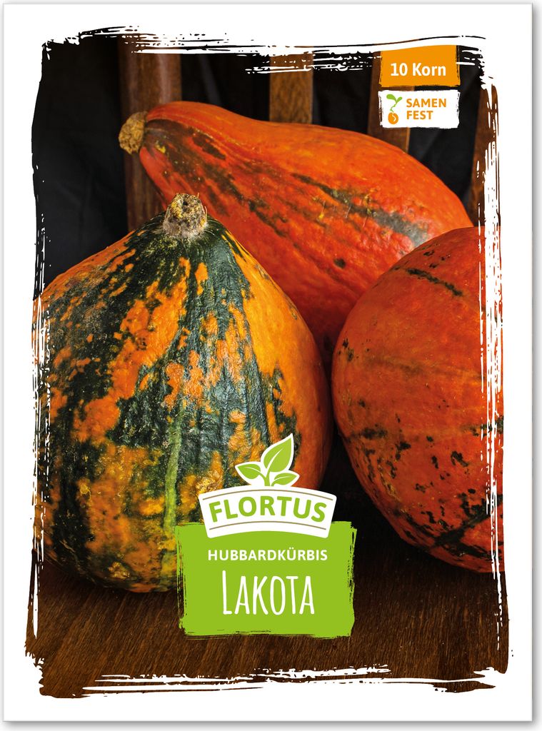 Hubbardkürbis Lakota | Hubbardkürbissamen von FLORTUS