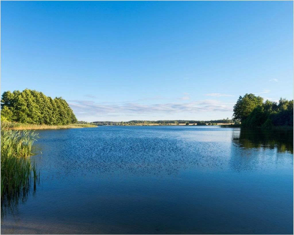 Wallario Poster - Malerischer See mit Schilf unter blauem Himmel, Kunstdruck Größe: 40 x 50 cm