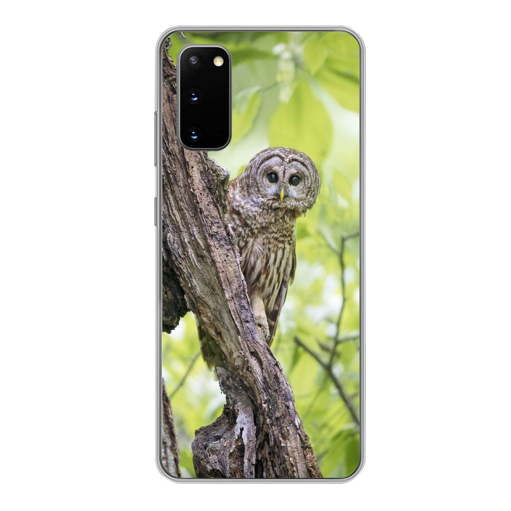 MuchoWow Handyhülle Schutzhülle Hülle für Samsung Galaxy S20 Eule - Wald - Licht Silikon Softcase Handy Hülle - Bild