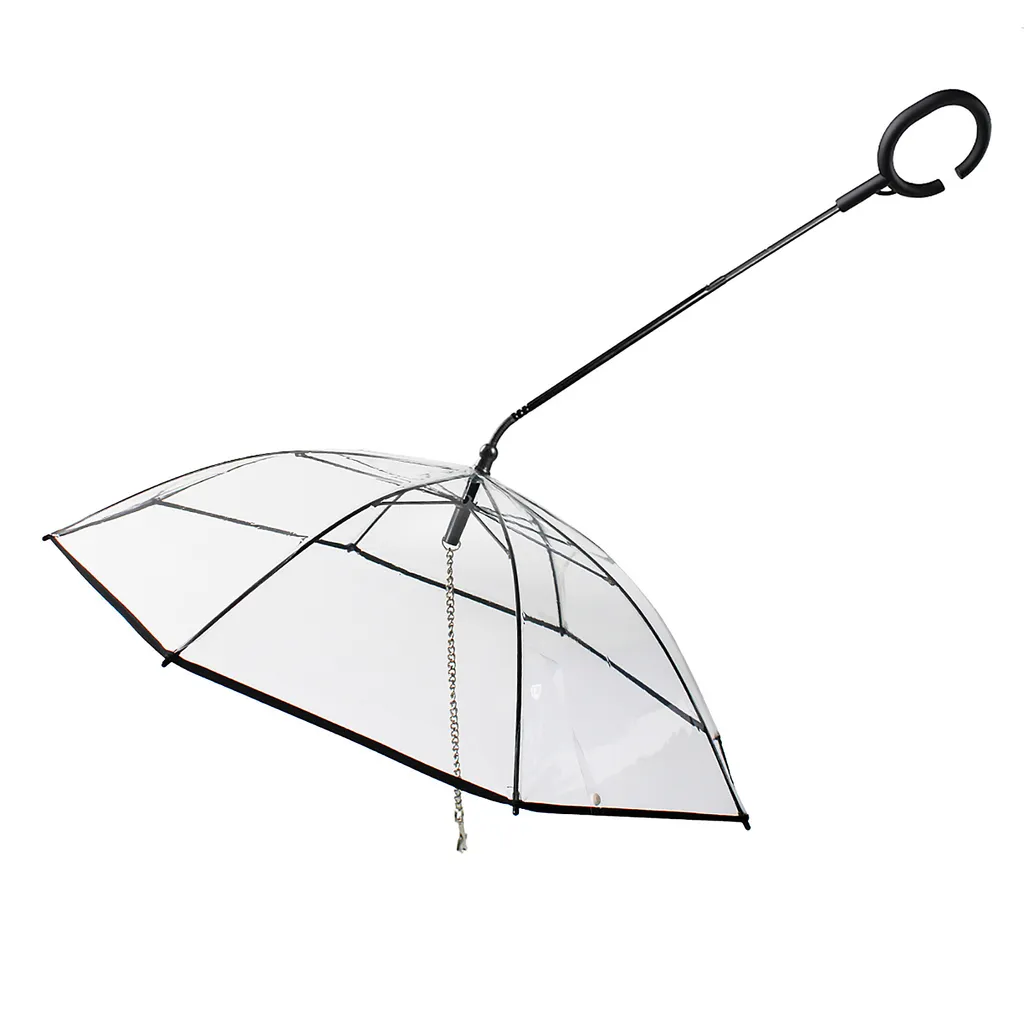 Parapluie pour chien de petite taille pour promenade sous la pluie