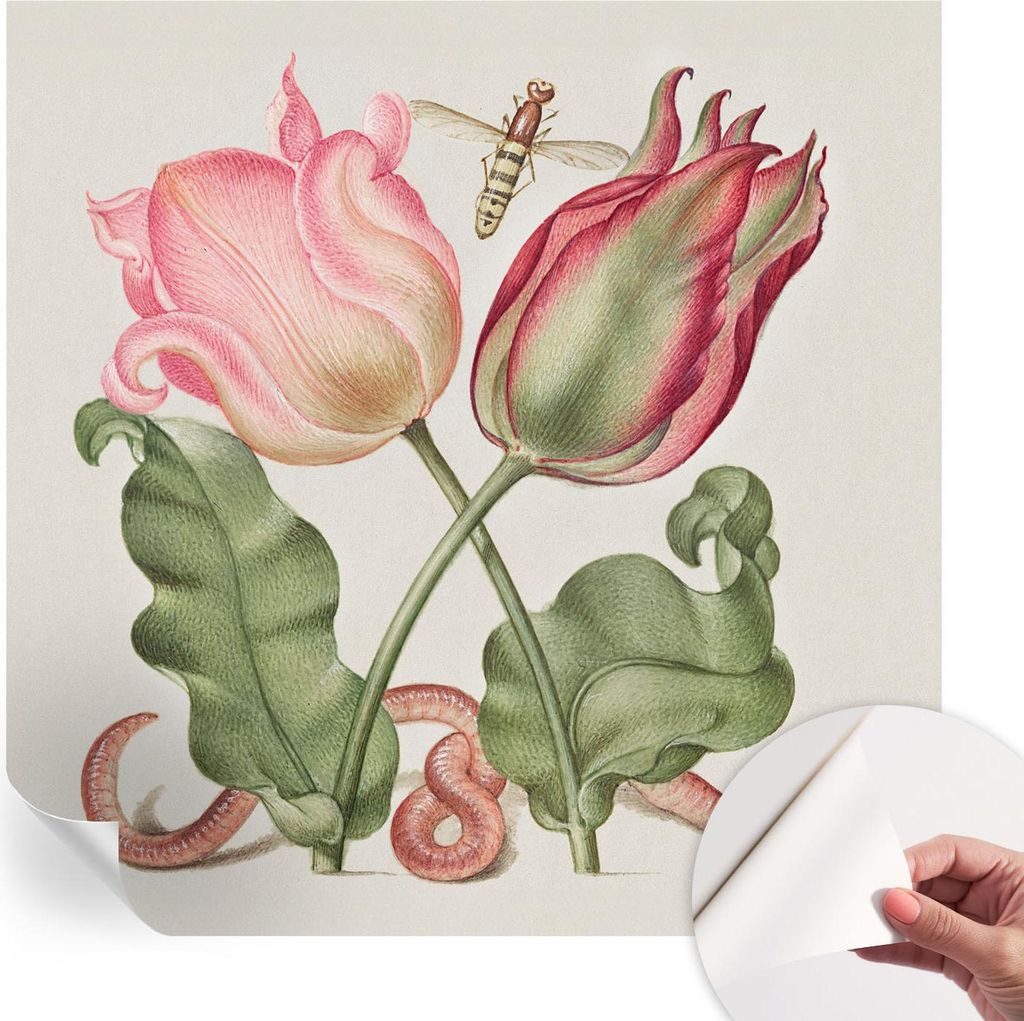 Selbstklebende Wandtapete - Dekorative Tapete für Wohnzimmer - Klebefolie für Wandbilder - Tapetenfolie für Wanddekoration - 250x250 cm - Tulpen...