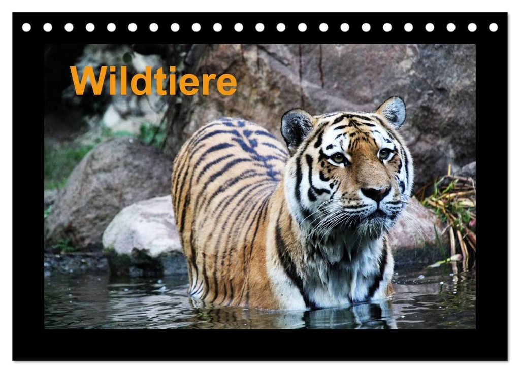 Wildtiere (Tischkalender 2027 DIN A5 quer), CALVENDO Monatskalender