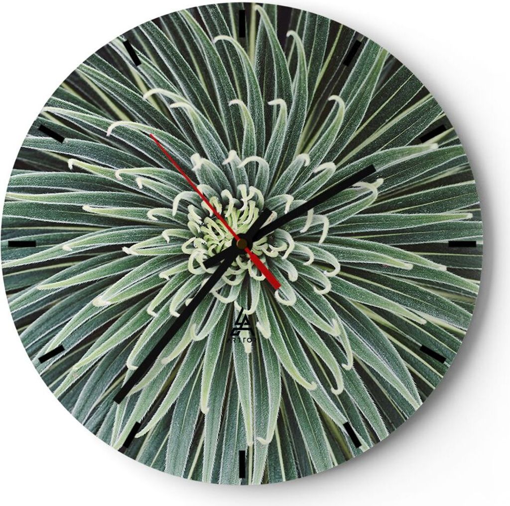 Wanduhr - Rund - Glasuhr - Agave Grün Pflanze - 30x30cm - Schleichendes Uhrwerk - Lautlos - zum Aufhängen bereit - Dekoration Modern - Wanddekora...