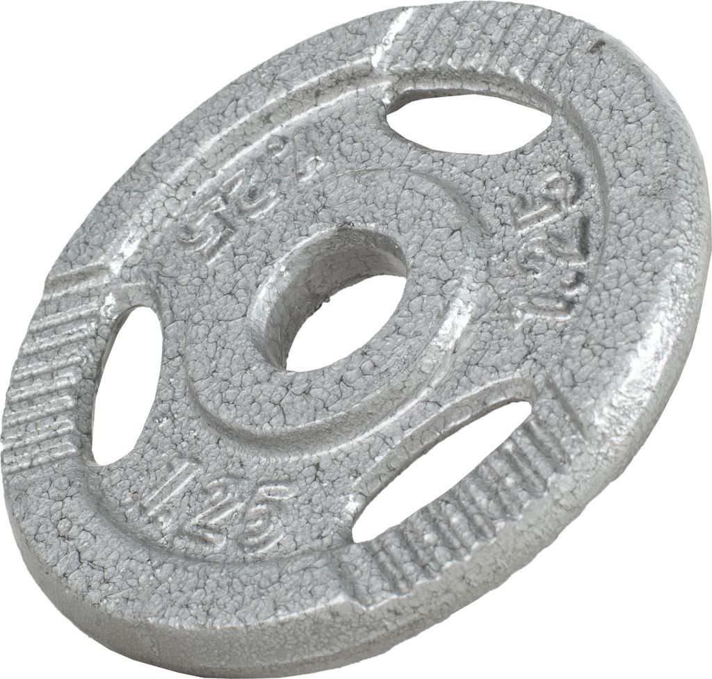 GORILLA SPORTS Hantelscheiben - 1,25kg Gewichte, Tri-grip, 30mm, Gusseisen, Silber - Gewichtsscheiben, Hanteln Set