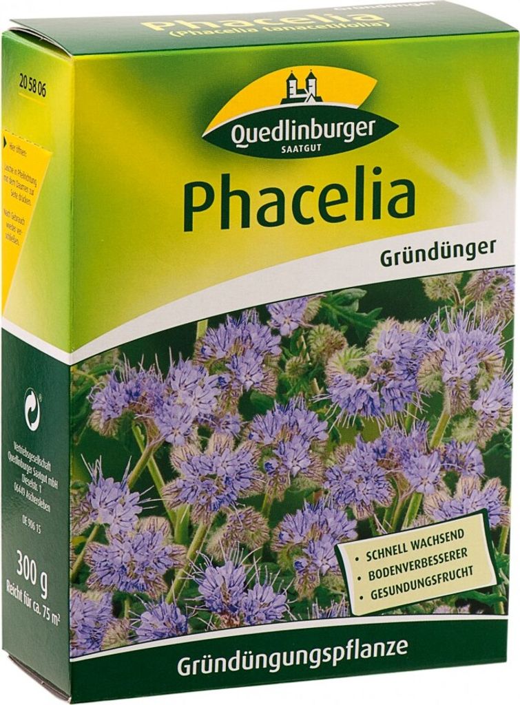 Phacelia 300 g |  Phaceliasamen von Quedlinburger Produktbild 