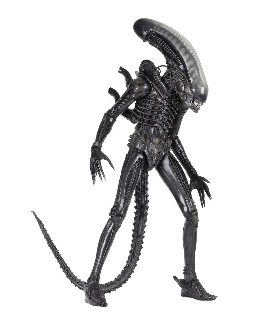 Alien 1/4 Scale Action Figure Big Chap Xenomorph Image du produit 