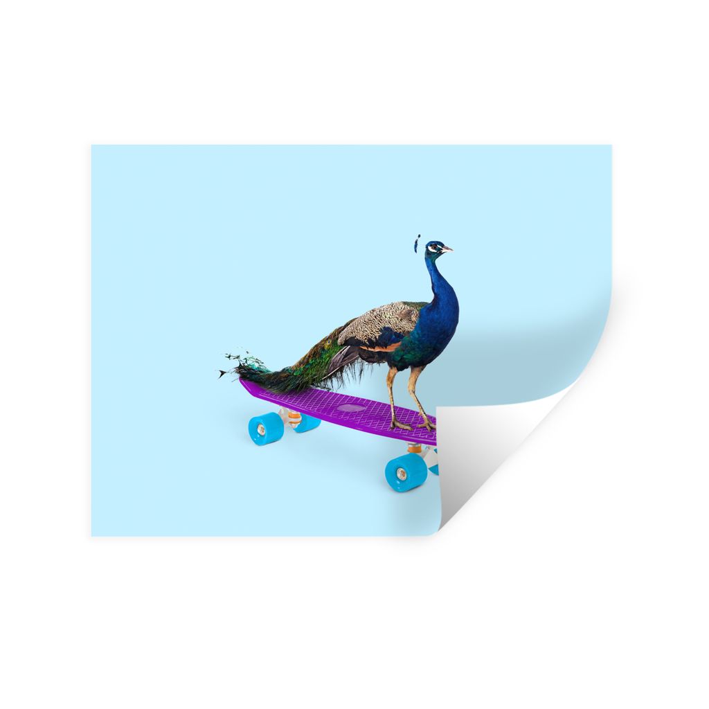 MuchoWow Wandtattoo Wandsticker Wandaufkleber Pfau - Blau - Skateboard - Tiere - Lustig 80x60 cm Selbstklebend und Repositionierbar - Faltenfrei