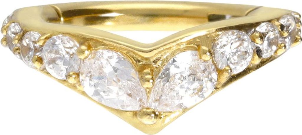 Ohrpiercing, Nasenpiercing, Septum Piercing Chirurgenstahl Segmentring Clicker DIADEM Gold Innendurchmesser: 12 mm