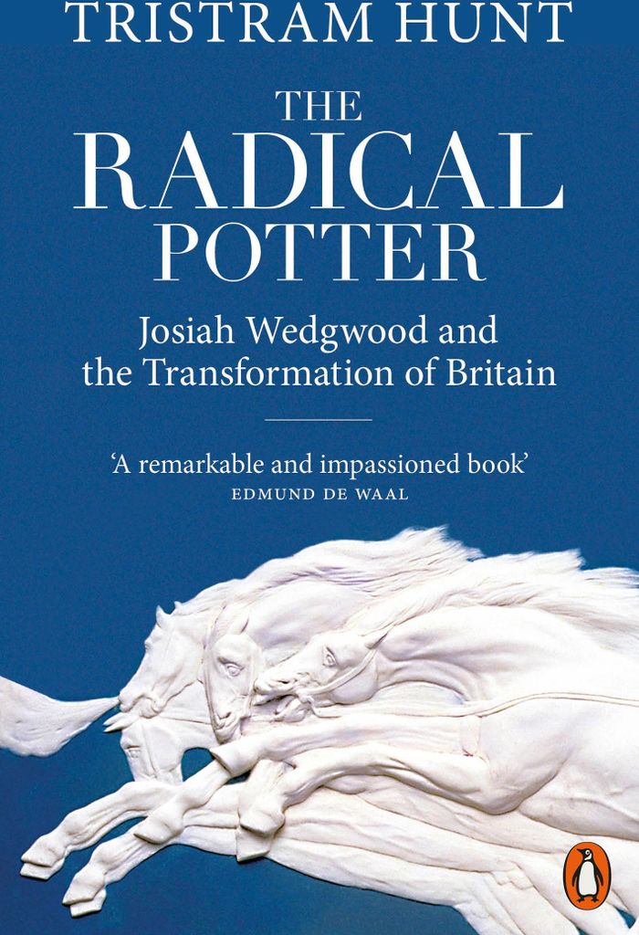 The Radical Potter