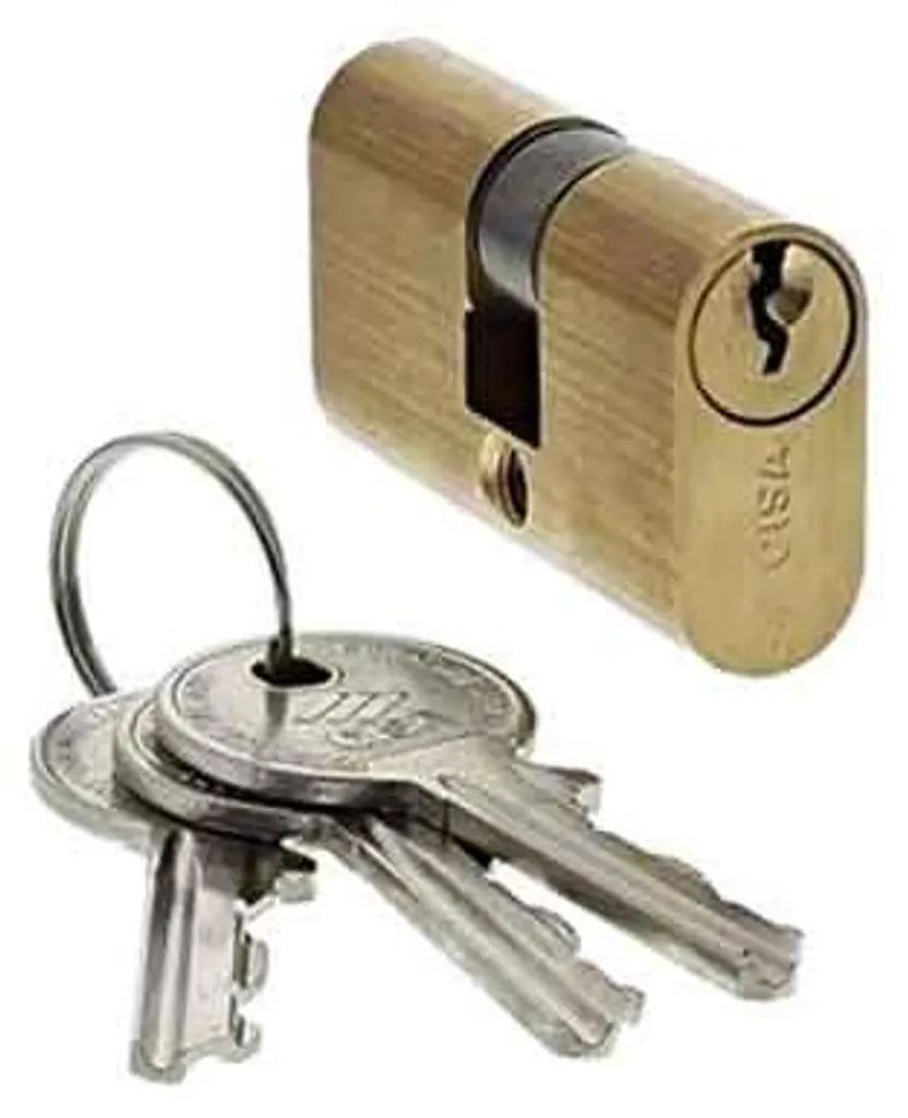 Cylindre ovale pour serrure ancienne de porte bois CISA 60mm 08210