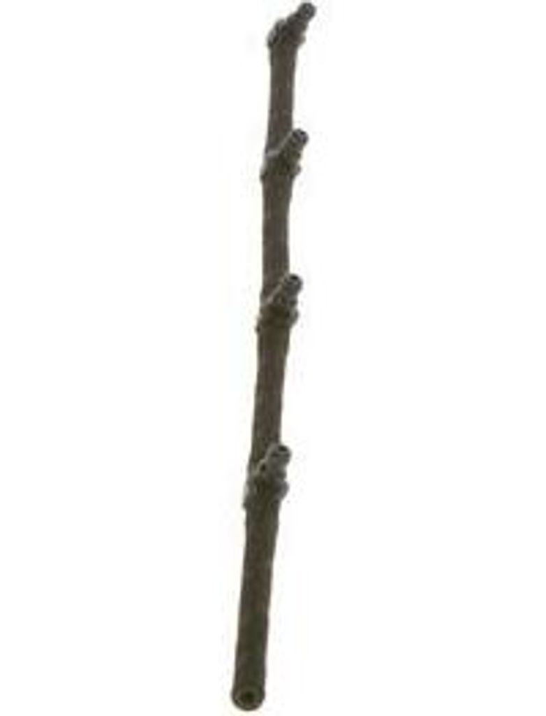 BOSCH 0 928 400 599 Leckkraftstoffschlauch OE 55187666 kompatibel mit Mito, 500, 500C, 500L, Doblo, Fiorino, Grande Punto, Idea, Linea, Panda, Punt...