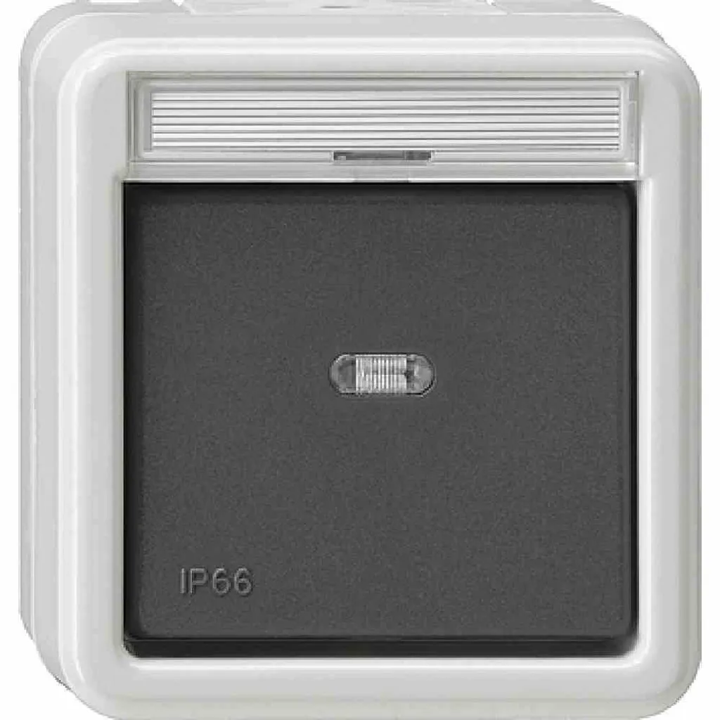 GIRA 010631 Interrupteur électrique gris va-et-vient étanche IP66