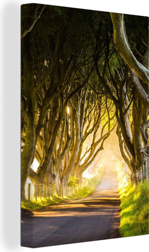 OneMillionCanvasses - Leinwandbilder - 90x140 cm, Berühmte dunkle Hecken in Nordirland, Wandbilder Kunstdruck Wanddekoration - Wandschmucke - Sc...