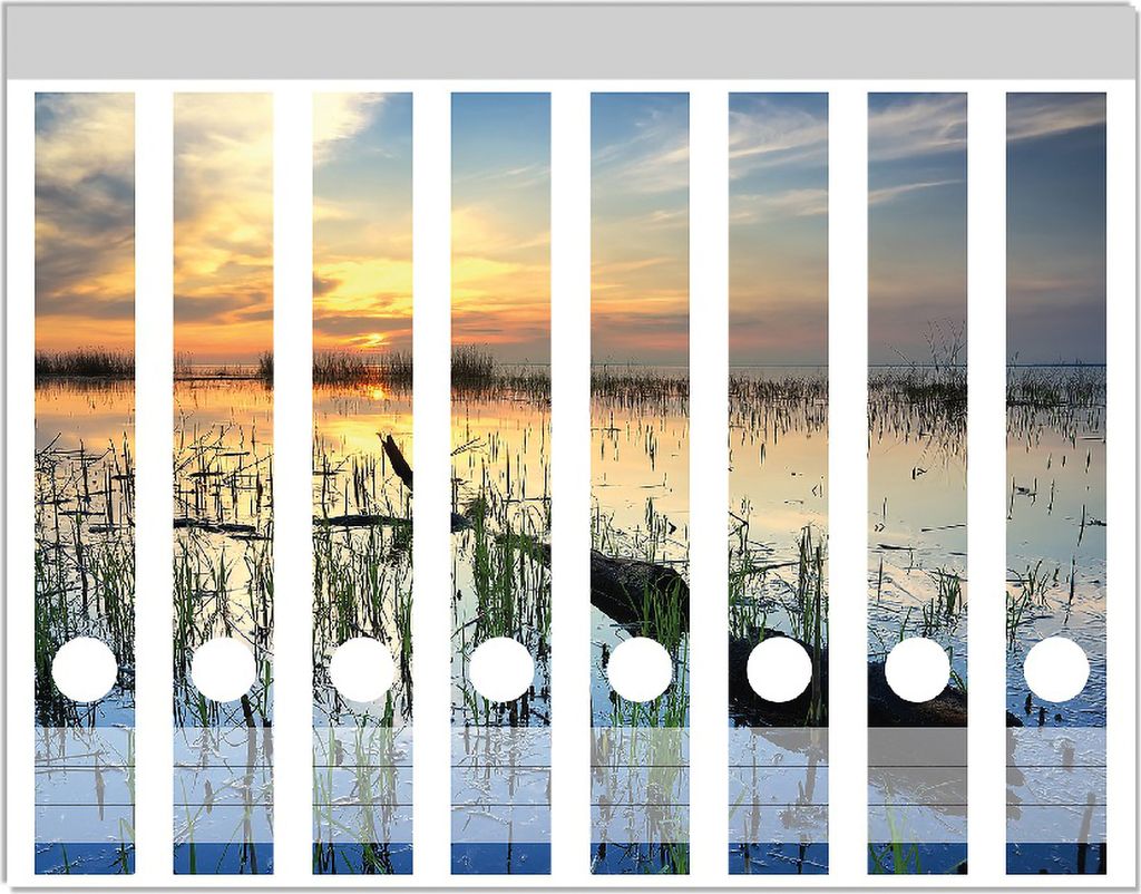 Wallario Ordnerrücken Sticker, selbstklebend für schmale Ordner, 8 Stück, Motiv Schilf am Abend - Sonnenuntergang über der Seelandschaft