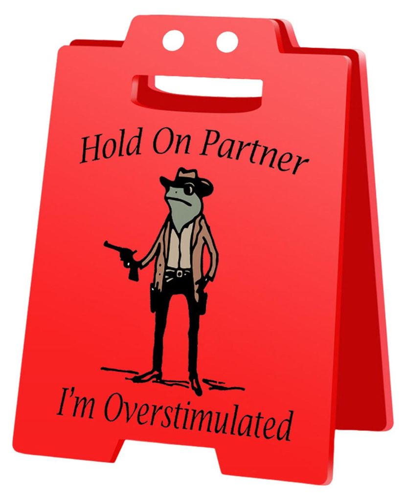 1/2/3 Stück „Vorsicht Überreizung“-Tischschild „Cowboy-Frosch“ – „Halt durch, Partner, ich bin überreizt“ – Mini-Tischschild fü...