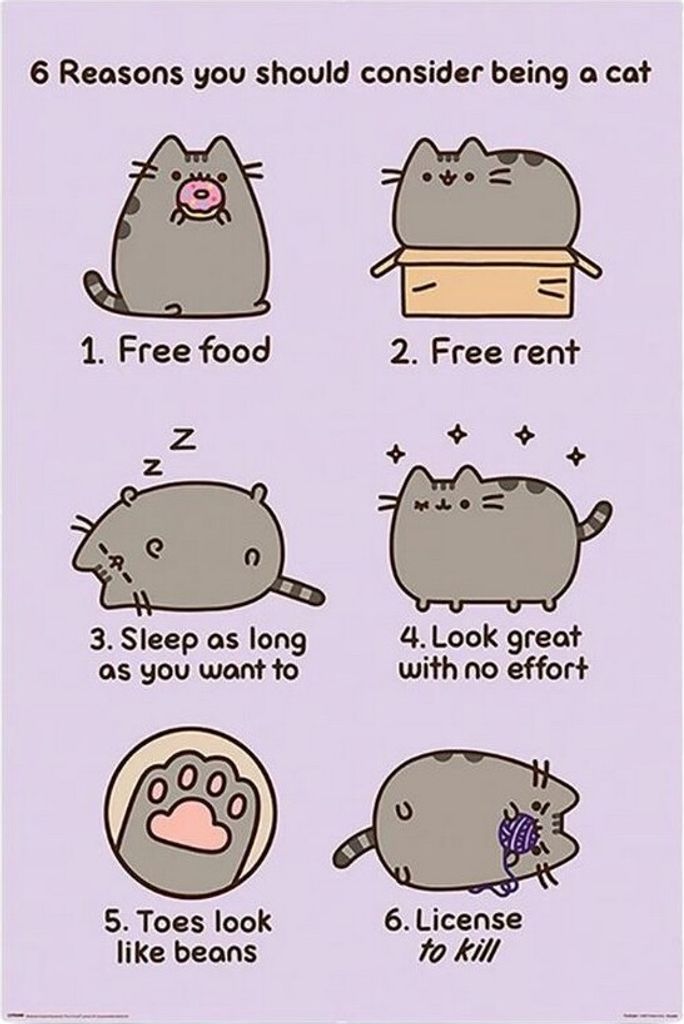 Pusheen - Poster, Maxi PM11932 (91,5 cm x 61 cm x 0,12 cm) (Bunt)