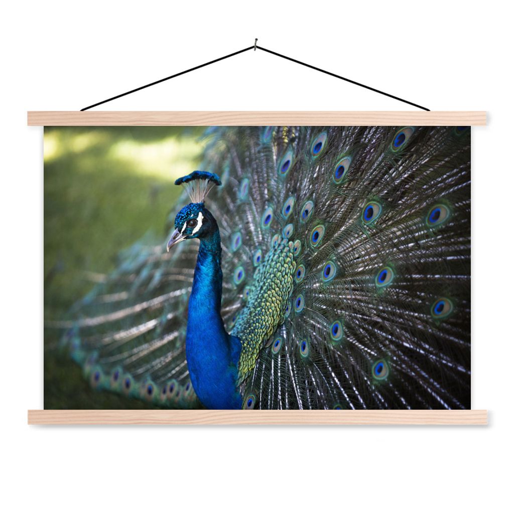 MuchoWow Textilposter Pfau - Vögel - Blau 60x40 cm mit holzfarbenen Rahmen - Bilder