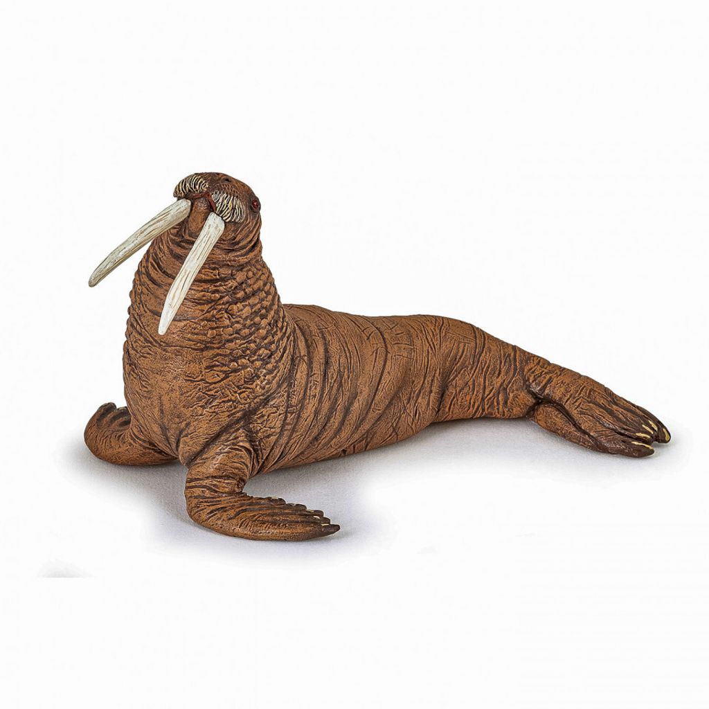 Papo 56030, 3 rok / roky, Marine life, Hnedá, PVC Obrázok produktu 