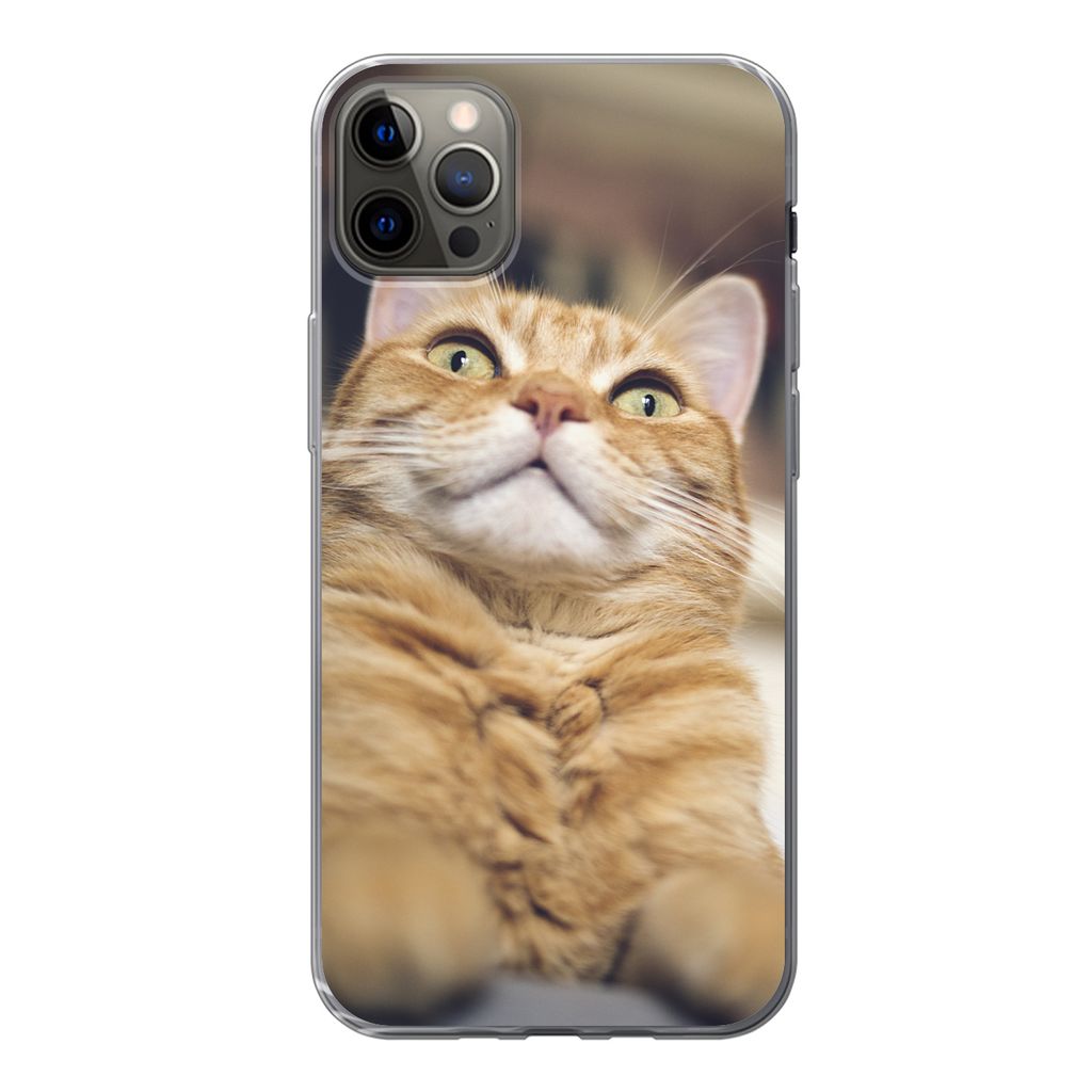 MuchoWow Handyhülle Schutzhülle Hülle für iPhone 12 Pro Max Katze - Bank - Orange Silikon Softcase Handy Hülle - Hartschale