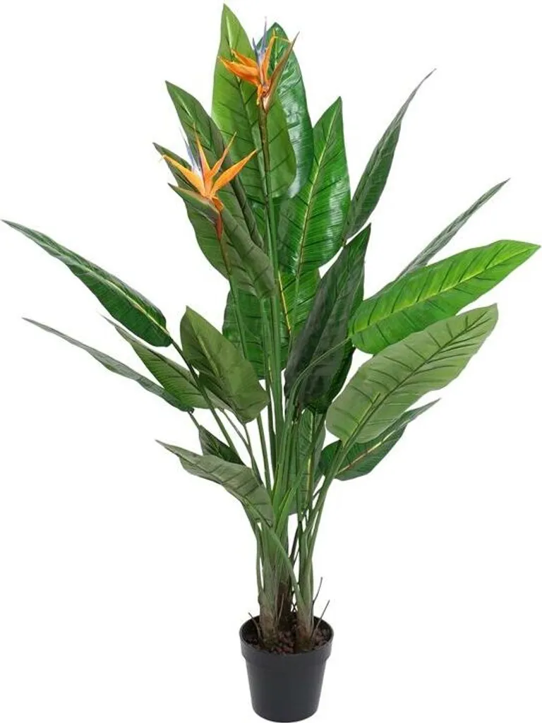 Plante décorative DKD Home Decor en PVC plastique - 100 x 100 x 145 cm