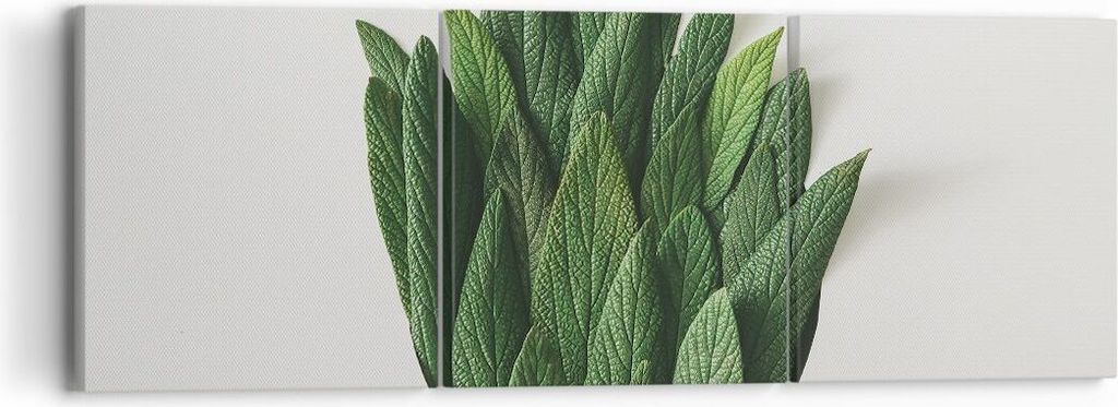 Bild auf Leinwand - Leinwandbild - 3 Teile - Salbei Medizin Blätter - 90x30cm - Wand Bild - Wanddeko - Wandbilder - Leinwanddruck - Bilder - Wandd...