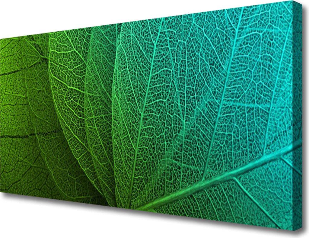 Tulup Leinwand-Bilder 100x50 Wandbild Canvas Kunstdruck Produktbild 