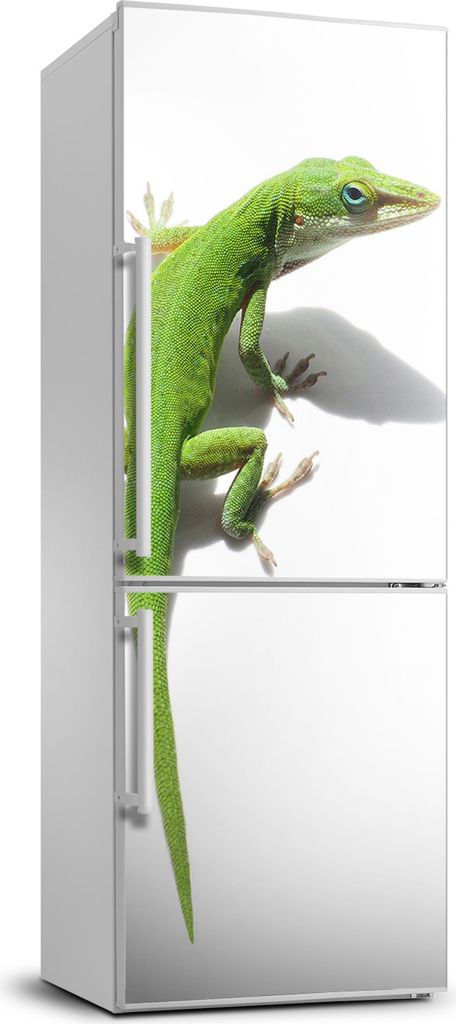 Tulup Kühlschrankdekoration - 70x190 cm - Aufkleber auf dem Kühlschrank - grüne Eidechse