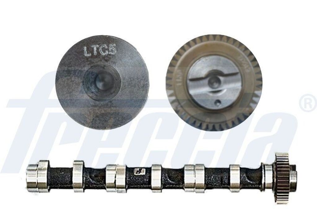 FRECCIA CM05-2279 Nockenwelle Einlass für VW Polo Schrägheck (6R1, 6C1) für SKODA Fabia II Schrägheck (542) Fabia II Combi (545) ROOMSTER (5J)