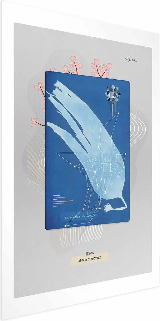 Poster Glon 60x90 cm senza cornice con margine | Stampa Artistica Premium