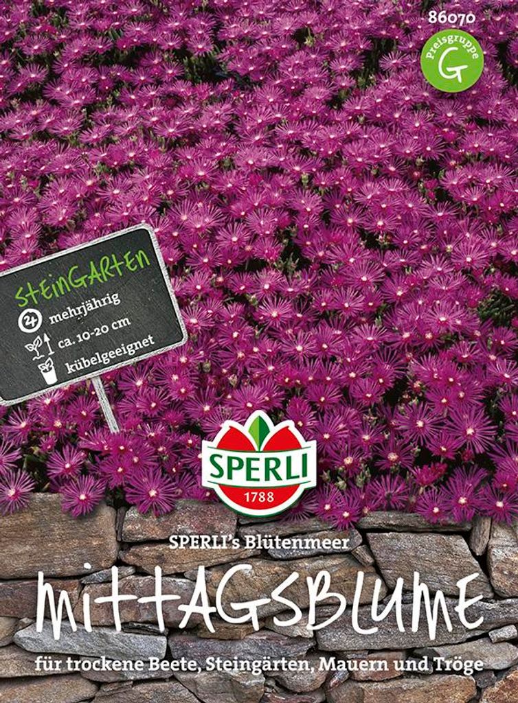 Sperli Mittagsblumen SPERLI's Blütenmeer - Blumensamen