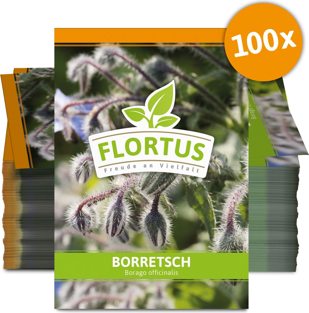 Borretsch (100 Tütchen) | Borretschsamen von FLORTUS