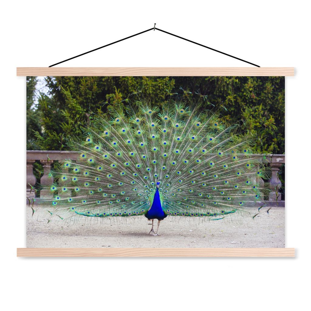 MuchoWow Textilposter Pfau - Flügel - Schwanz 60x40 cm mit holzfarbenen Rahmen - Bilder