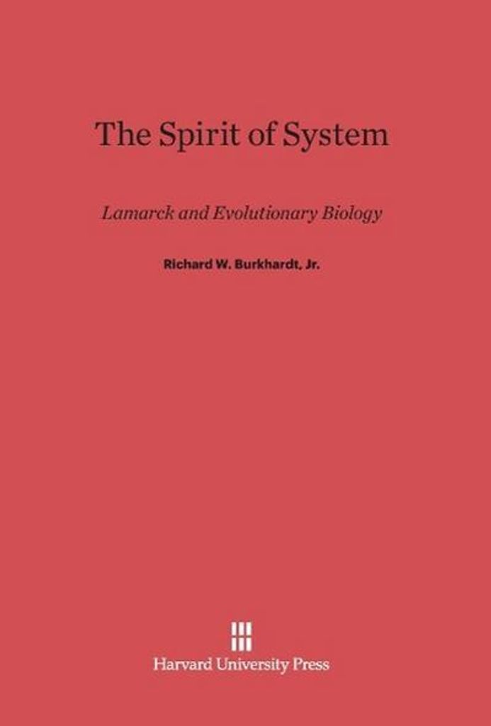 The Spirit of System