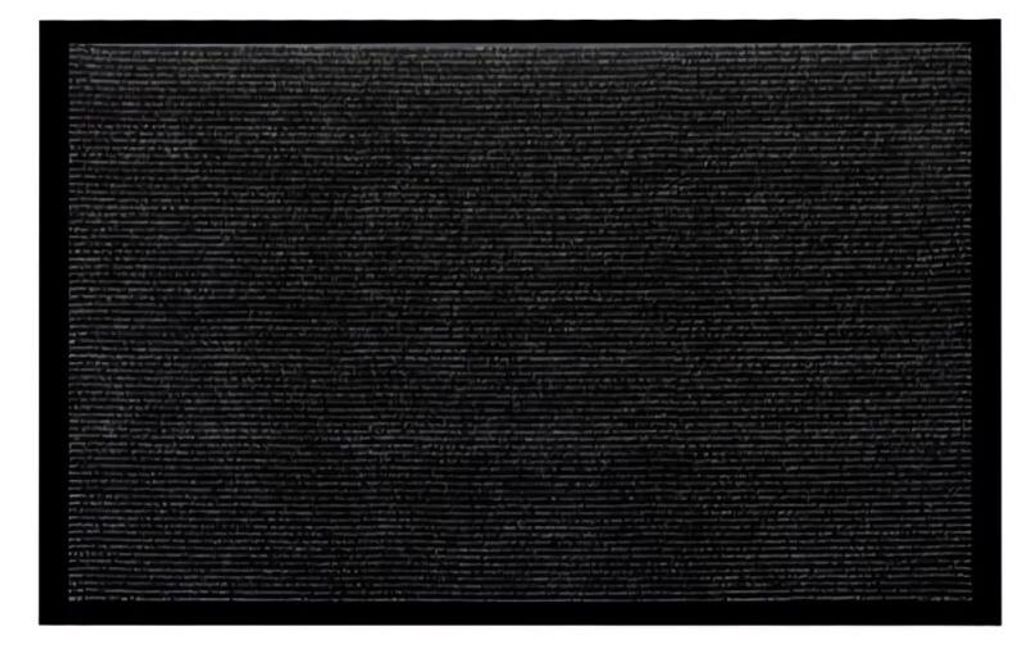 Ruhhy 22055 Fußmatte 60 x 90 cm, schwarz-grau Produktbild 