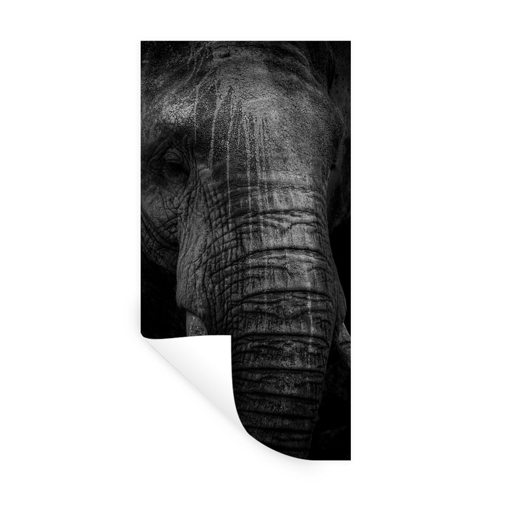 MuchoWow Wandtattoo Wandsticker Wandaufkleber Elefant auf schwarzem Hintergrund in schwarz und weiß 60x120 cm Selbstklebend und Repositionierbar...