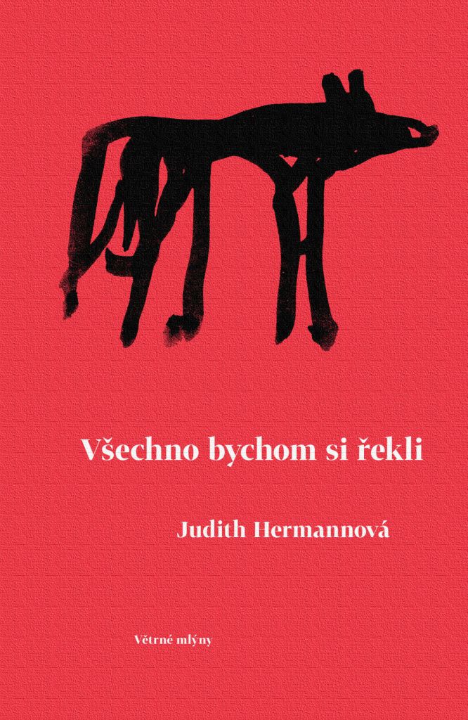 Všechno bychom si řekli | Judith Hermann