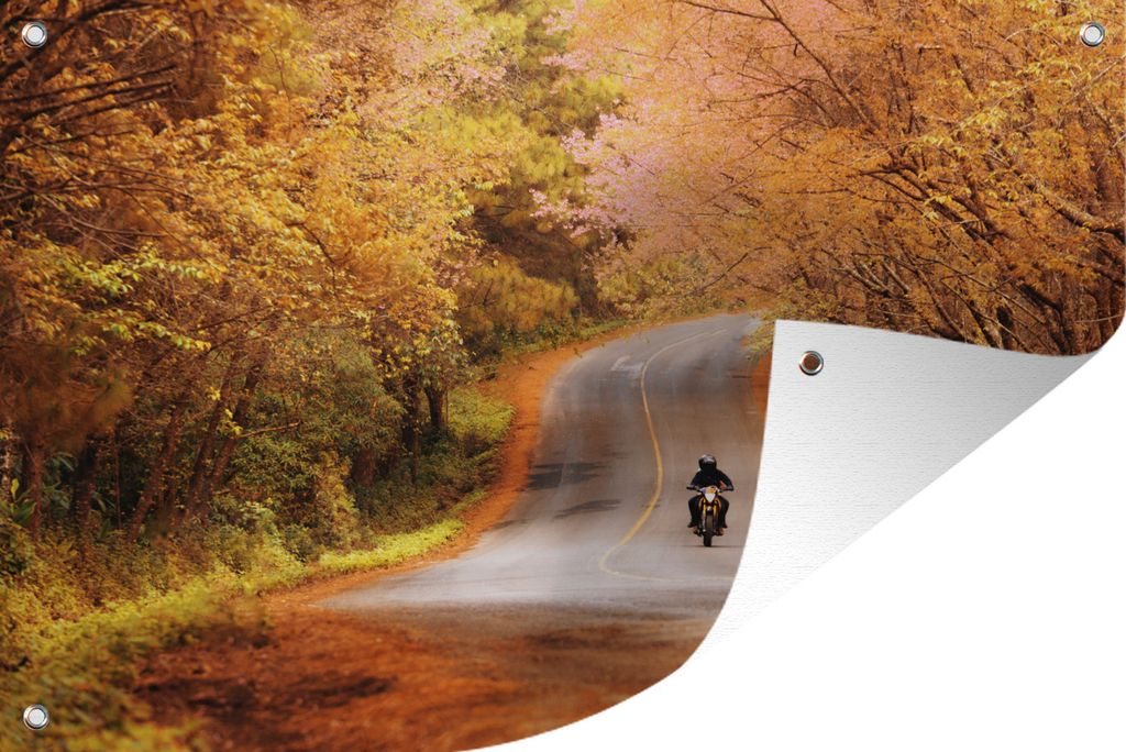MuchoWow 90x60 cm Outdoor-Poster Gartendeko Sichtschutz Garten Poster für den Garten Motorrad zwischen Herbstbäumen
