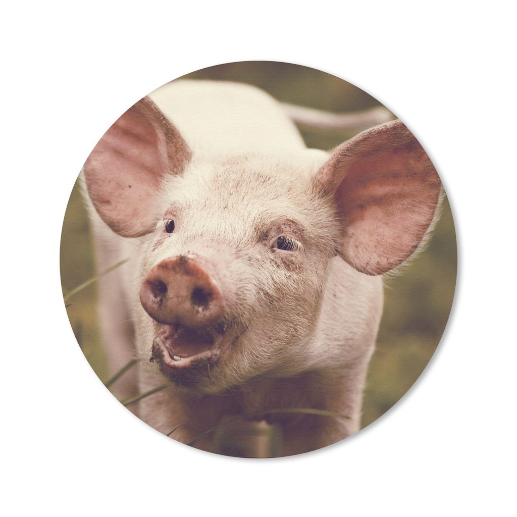 MuchoWow Mauspad Mousepad Schwein - Porträt - Tier 50x50 cm - Mousepads - Maus Mat - Pad - Mausunterlage - Vinyl