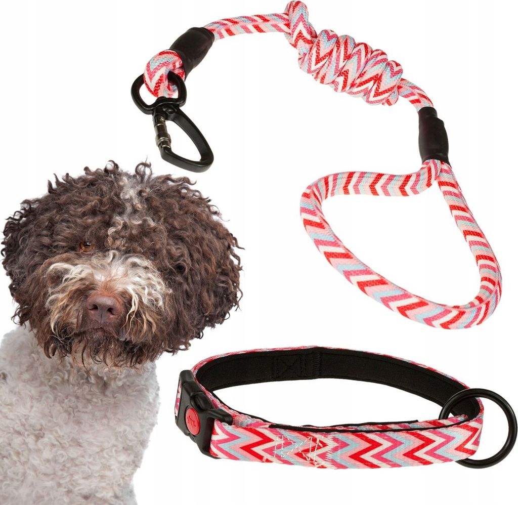 ADJUSTABLE COLLAR + LANYARD für Hunde mit Neoprenfutter und Clip.
