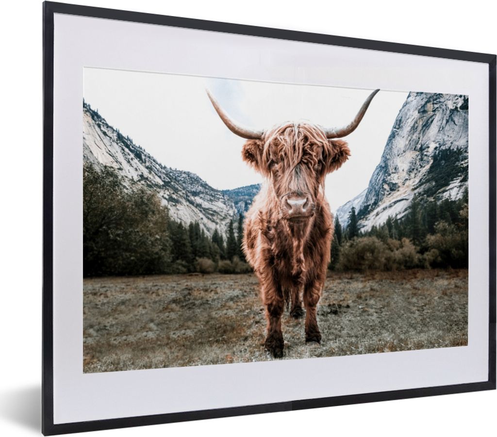 MuchoWow Gerahmtes Poster Schottischer Highlander - Berg - Tiere 40x30 cm - Poster mit Schwarzem Bilderrahmen Wandposter Rahmen Foto Bilder - Bil...