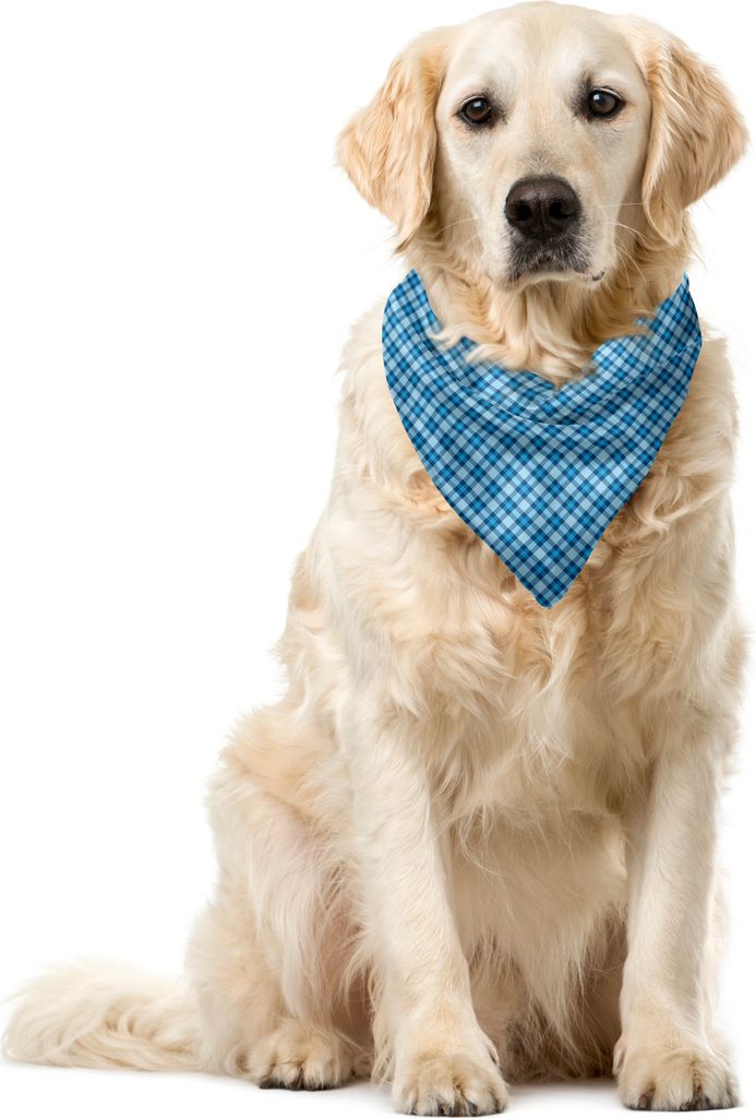 ABAKUHAUS Kariert Haustier Bandana, Picknick-Fliesen in Blau, 40x40 cm, Blau Hellblau
